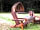 Bluebell Retreat Glamping: Relaxing by Sleepy Hollow pod