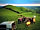 Coco's Wild Camp: Sunset view from the firepit (photo added by manager on 21/06/2022)