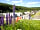 Corriefodly Holiday Park: View of the pitches