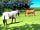 Dartmoor View: Horses grazing nearby