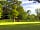Woodlands Camping: The clearing
