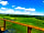 Meadow View Glamping: View from the cabins
