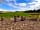 Foot of the Downs: View from pod (photo added by  on 01/09/2021)