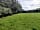 Ashford House Camping: Grassy pitches