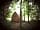 Bluebell Retreat Glamping: Looking through the woodland to a pod