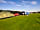 Edmore Park: Camping field