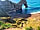 Luckford Wood Caravan and Camping: Durdle Door. (photo added by rebecca_d246968 on 31/10/2021)