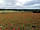 Your Cotswold Adventure: View from adjacent field