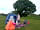 Out to Grass: 2 person pitch in our family field