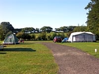 Electric grass tent pitches Electric grass tent pitches