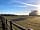 Old Pasture Park: Winter morning