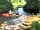 Misty Meadows: Great Kayak  to enjoy the small lake and river. Dragonflies abundant and butterflies too (photo added by  on 31/08/2021)