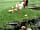 Headgate Farm: Chickens in the farmhouse garden (photo added by manager on 02/05/2018)
