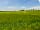 Howgrave Hall Caravan Park: Rolling fields nearby