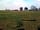 Bardwell Manor Equestrian Centre: Views from the site