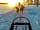 Torassieppi Jerisjärvi: Dog sledding