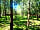 Southwood Park: View of the site (photo added by manager on 27/03/2023)