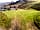 Bwlchgwyn Farm and Pony Trekking: Bryn 2 (photo added by manager on 28/04/2021)