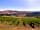 Azienda Agricola Bartolacci: Pitches with vineyard views