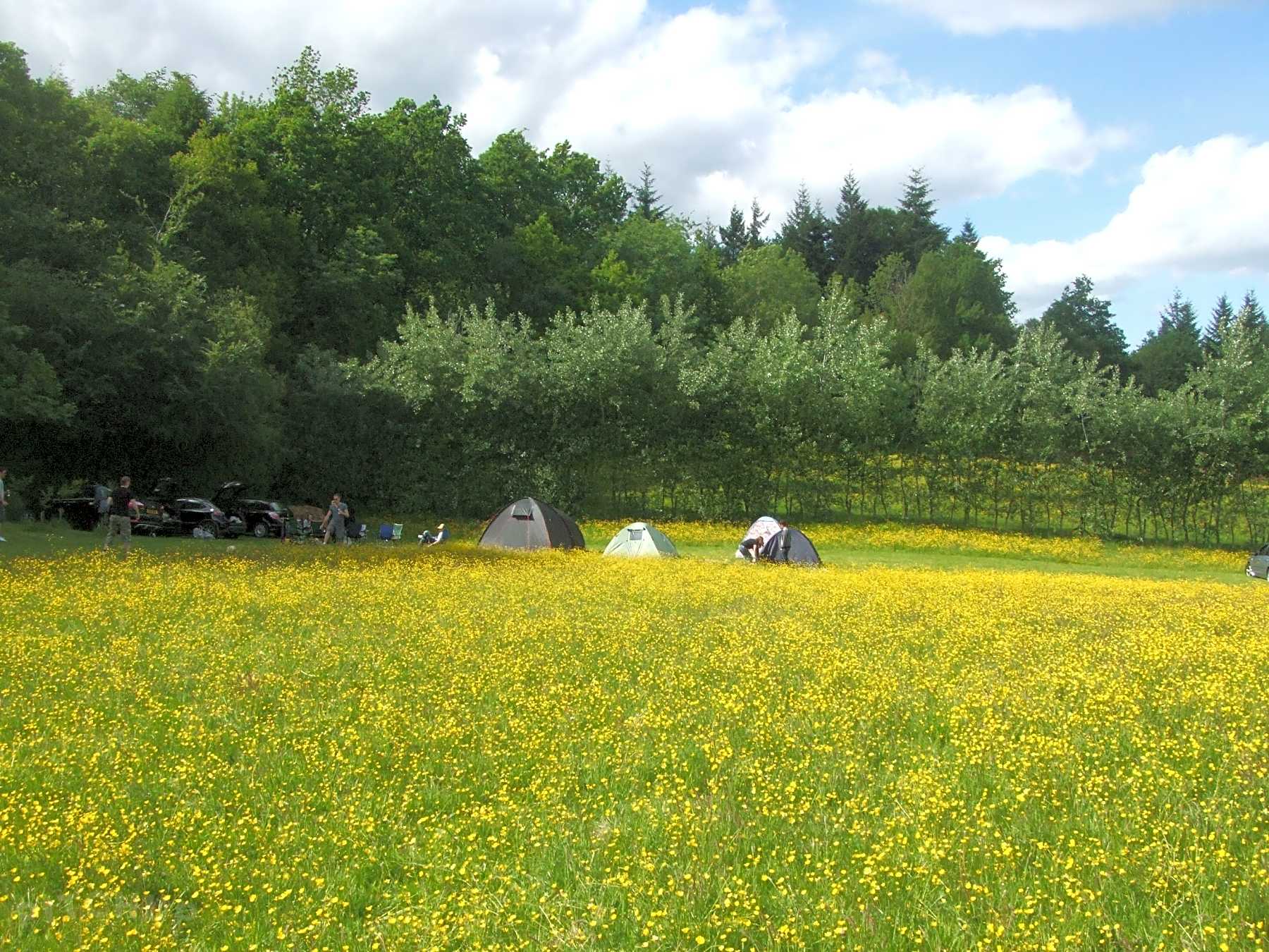 Gallery The Simple Bus Life School Bus Tiny House Bus Living School Bus House