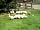 Broadleigh Farm Park: Meet award-winning geese