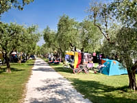 Θέση για σκηνή σε γρασίδι και χώμα με πλήρεις παροχές (θέα σε λίμνη)