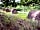 Riverside Glamping and Caravan Park
