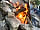 Nightingales Rustic Camping