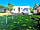 The Blacksmiths Arms: Beautiful weather in a peaceful campsite