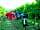 Saksida Holiday Park: Vineyard pitch (photo added by manager on 02/12/2019)