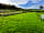 Prattshayes Campsite: Grass pitches