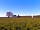 Through The Kissing Gate