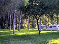 Surrounded by trees Surrounded by trees