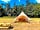 Hammonds Glamping: Sunny days at Hammonds Glamping (photo added by manager on 20/10/2022)