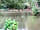 Wassell Grove Camping and Caravanning: Fishing at the specimen pool