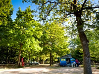 Camping area Camping area