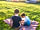 Farm and Fell Campsite: Playing Lego as the sun goes down (photo added by  on 02/06/2021)
