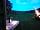 Bodmin Moor Camping: Quiet fireside evening