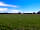 Barley Fields Camping