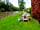 Smithy Park: Dogs are welcome to join you (photo added by manager on 18/06/2019)