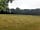 Sussex Topiary Campsite: Secluded pitches (photo added by manager on 28/06/2021)
