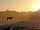 Springbok Campsite: An early morning at Springbok (photo added by manager on 27/07/2022)