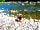 Millfields Caravan and Camping