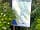 Camping Les Hortensias: Site map (photo added by manager on 30/05/2023)