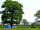 Manor Farm Caravan Park: Quiet pitch under a tree ... plenty of room for kids and dogs to play