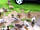 Manor Park Holiday Village: The ducks loved it. I complained to staff they said complain to pitchup.com as i booked with them.