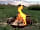 Kingsettle Camping Retreat: Firepit
