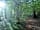 Dapplewood Caravan Site: The woodland walk