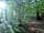 Dapplewood Caravan Site
