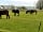 Greystones Nawab Camping and Touring